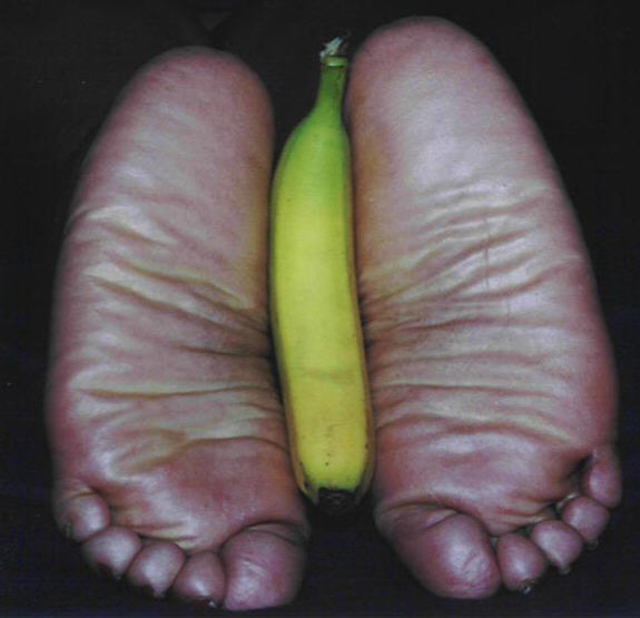 PlumBunny_Fruit21.jpg