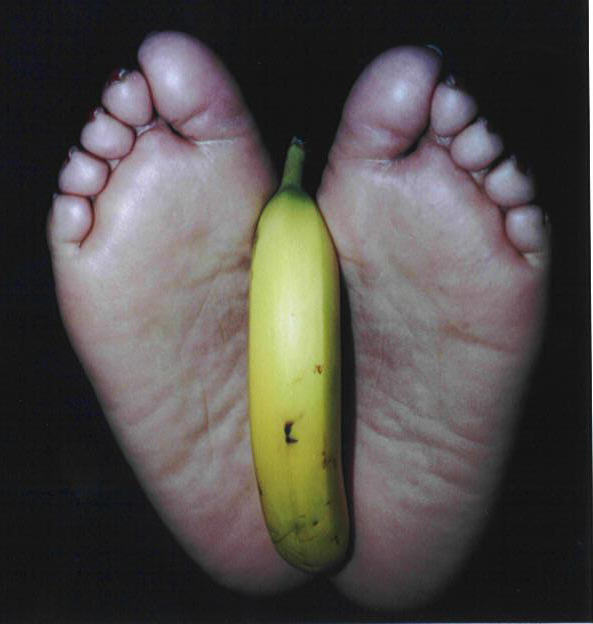 PlumBunny_Fruit70.jpg